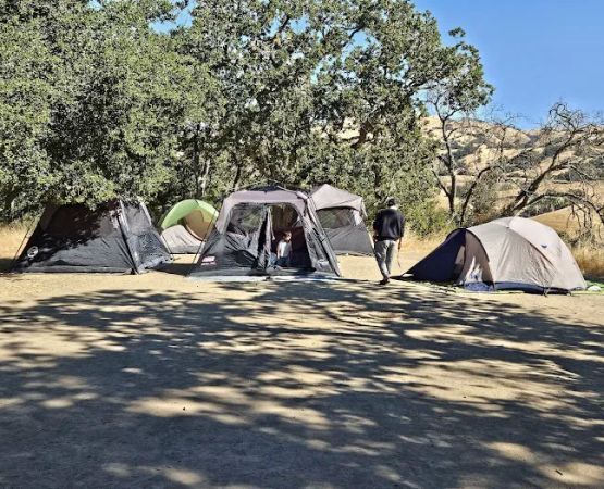 Halls Valley Group Site