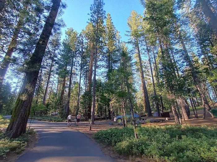 Cherry Valley Campground 5