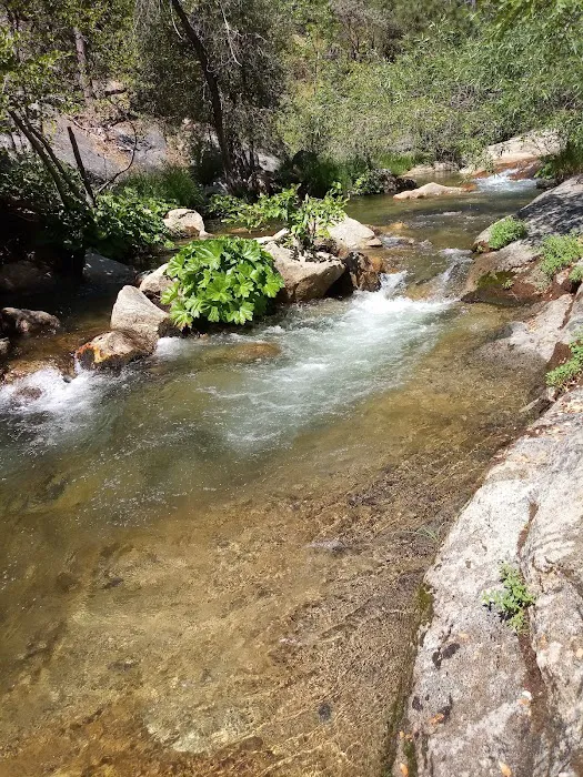 Soquel Campground 2