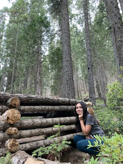 Soquel Campground 4