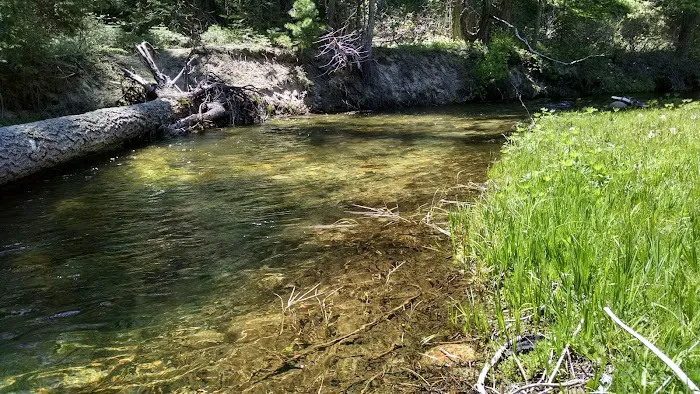 Soquel Campground 7