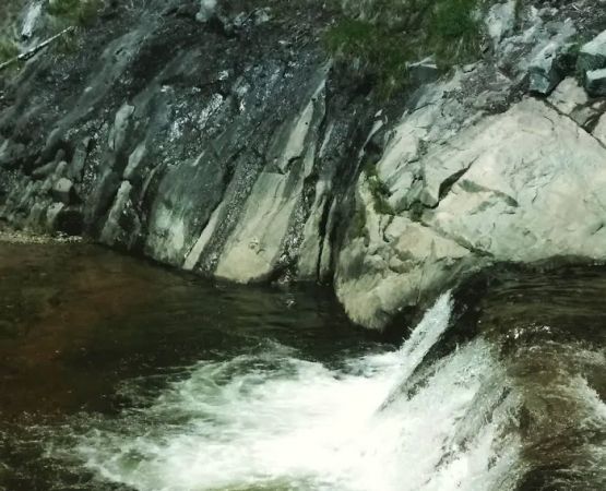 Greys Mountain Campground