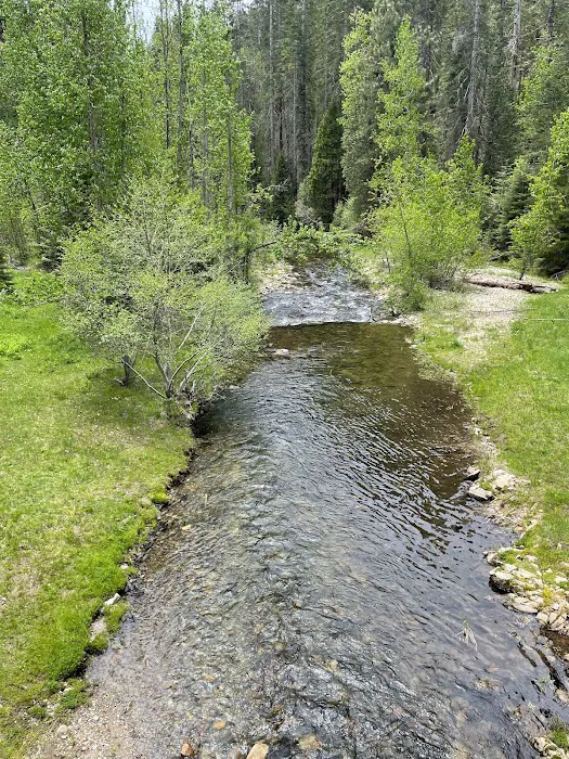Greys Mountain Campground 5