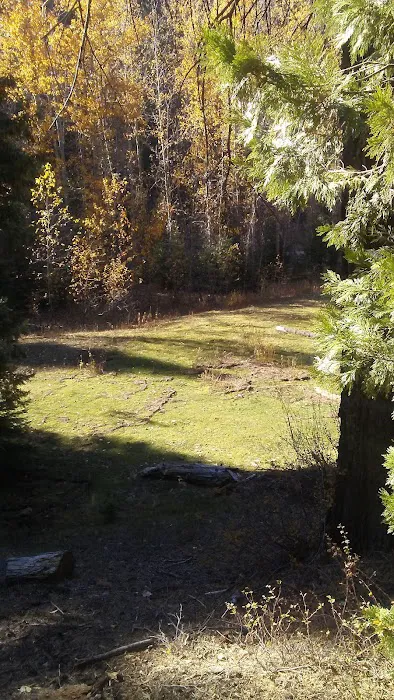 Greys Mountain Campground 6