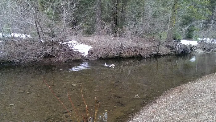 Greys Mountain Campground 7