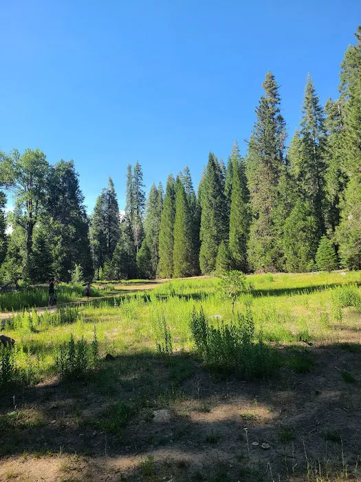 Greys Mountain Campground 3