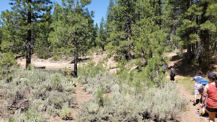 Grizzly Campground 2