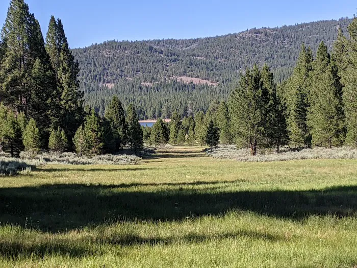 Grizzly Campground 0
