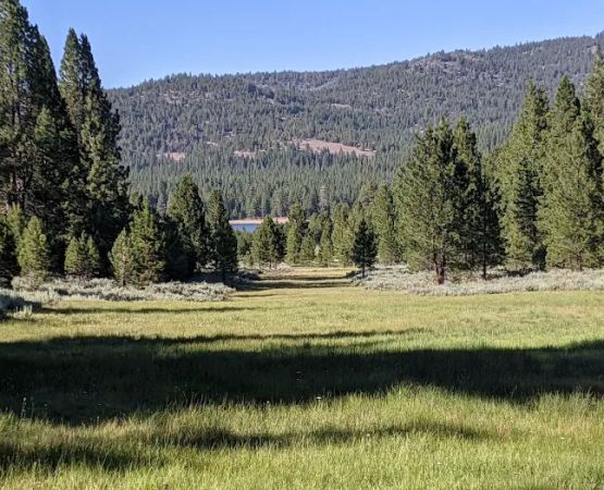 Grizzly Campground
