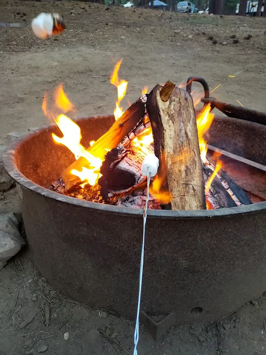 Grizzly Campground 6