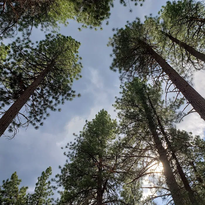 Lightning Tree campground 5