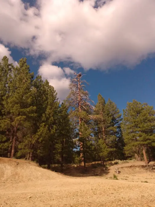 Lightning Tree campground 0