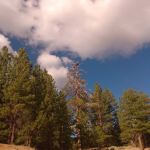 Lightning Tree campground