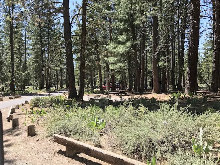 Lightning Tree campground 17