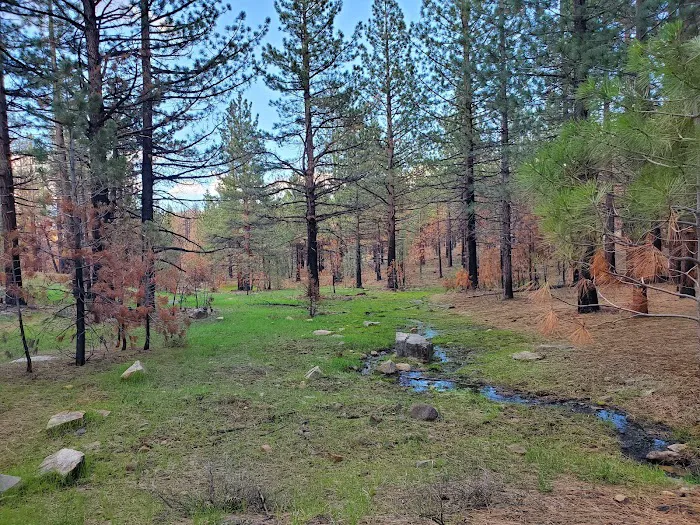 Cottonwood Spring Campground 2