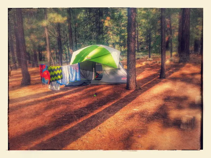 Cottonwood Spring Campground 7