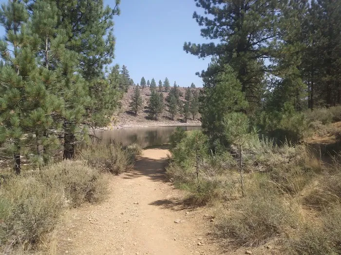 Cottonwood Spring Campground 8