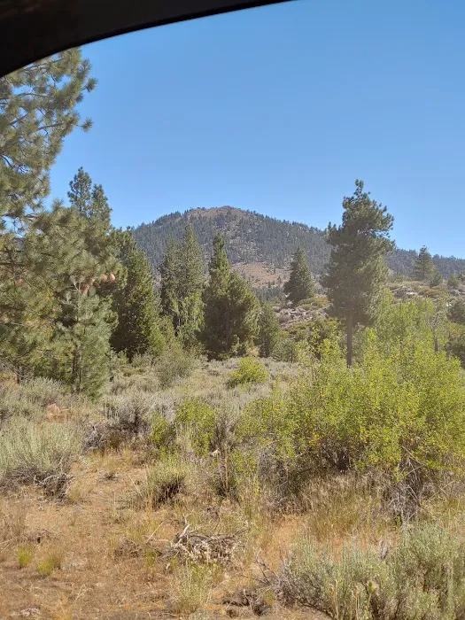 Cottonwood Spring Campground 9
