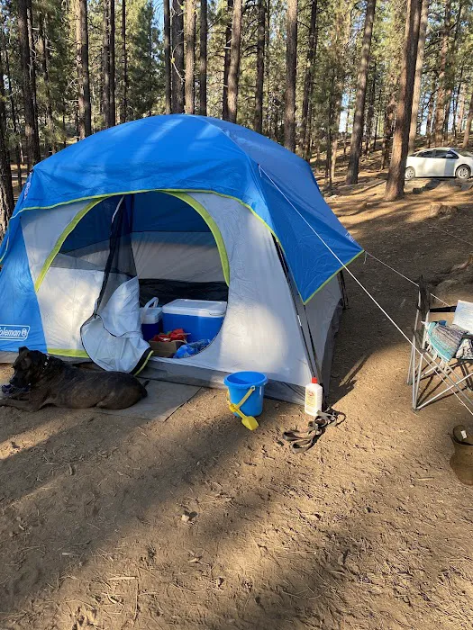 Frenchman Campground 6