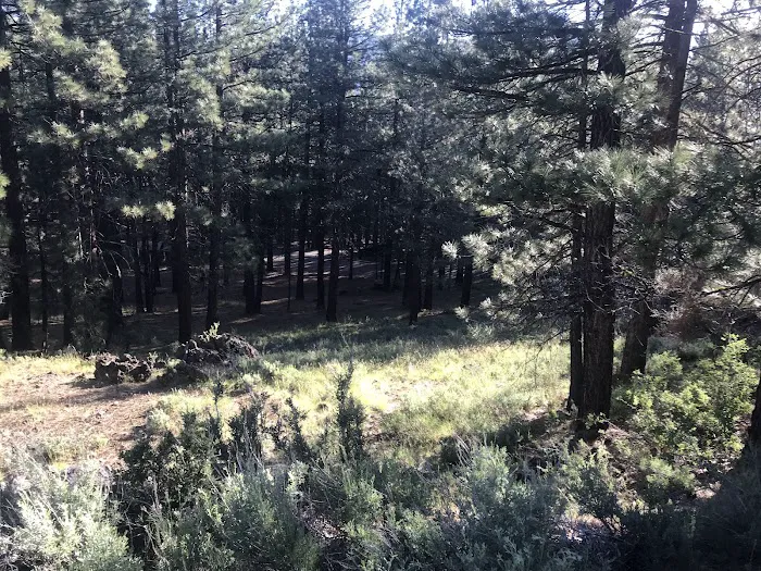 Frenchman Campground 8