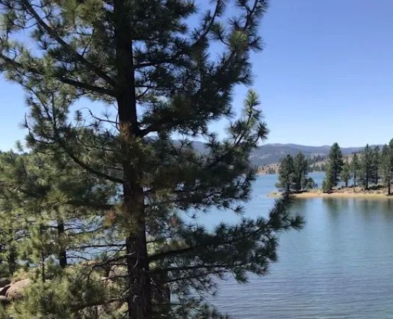 Spring Creek Campground