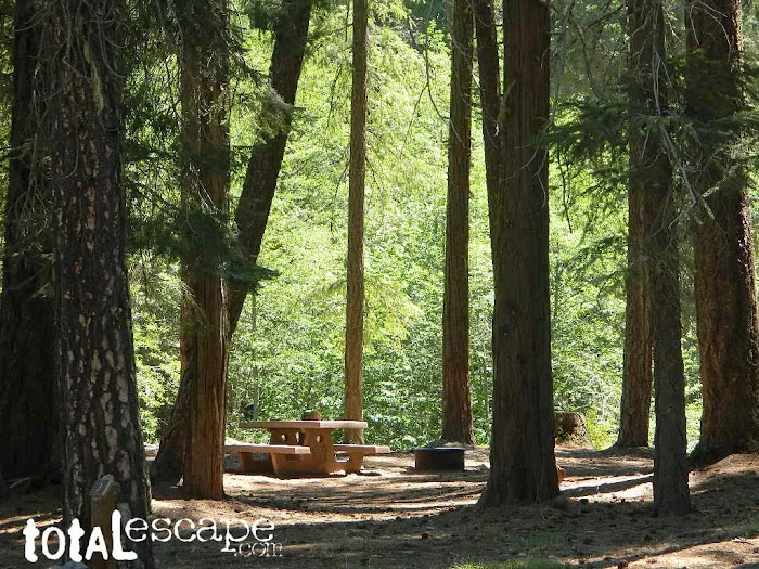 Rock Creek Campground 0