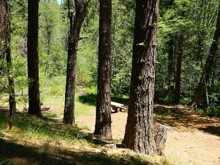 Rock Creek Campground 5