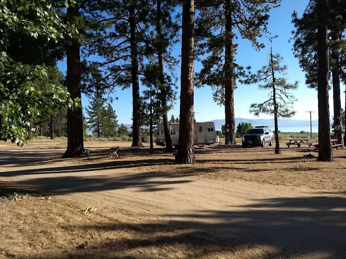 Honey Lake Campground Milford, CA 6
