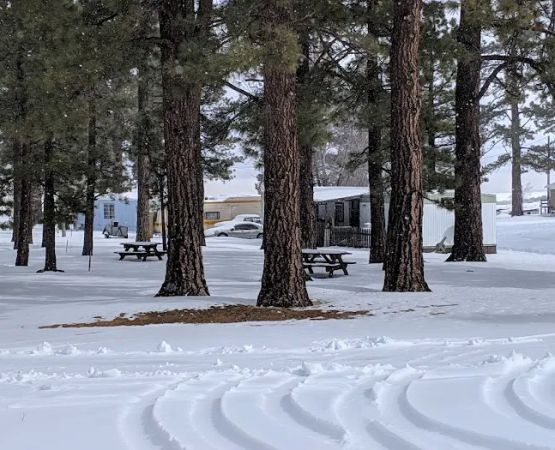Honey Lake Campground Milford, CA