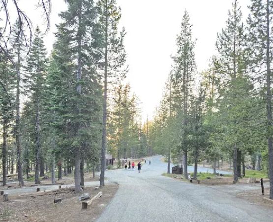Wyandotte Campground