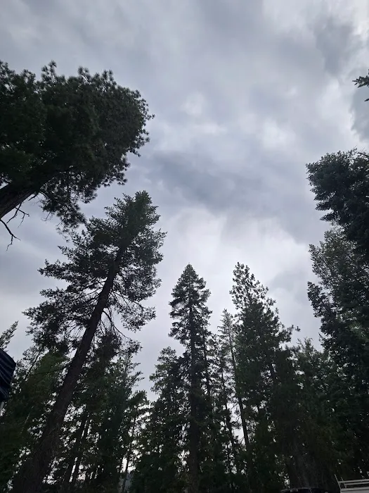Wyandotte Campground 2