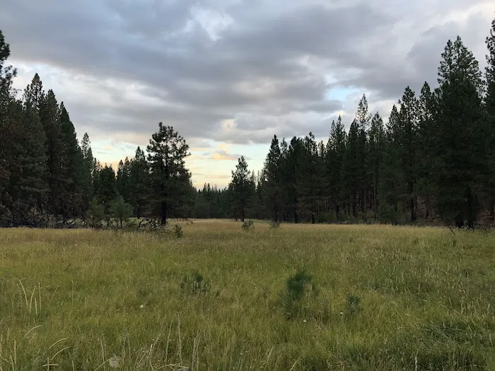 Cottonwood Flat Campground 0