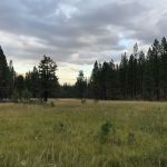 Cottonwood Flat Campground