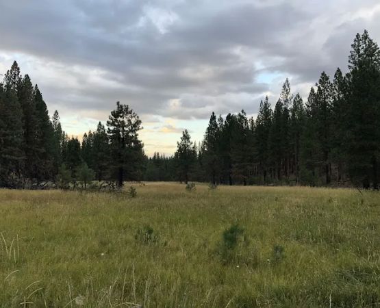 Cottonwood Flat Campground