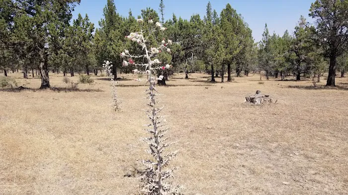 Reservoir C Campground 2