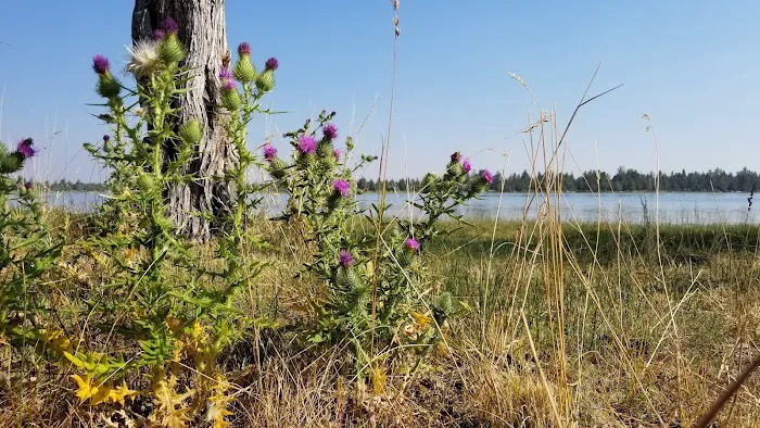 Reservoir C Campground 7