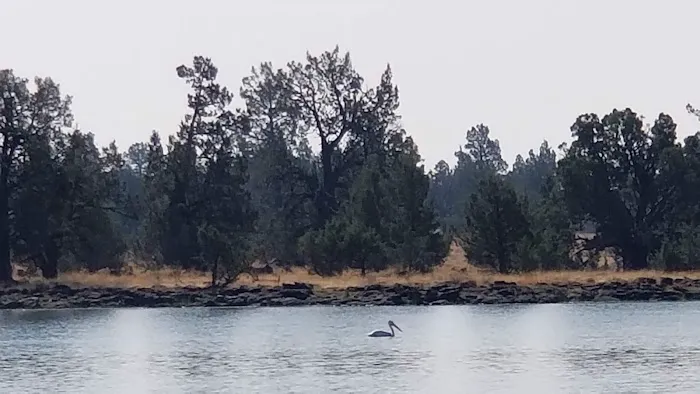 Reservoir C Campground 8