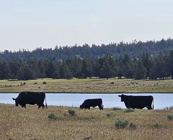 Big Sage Campground