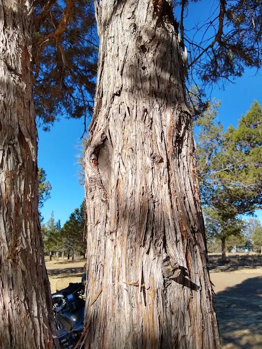 Big Sage Campground 7