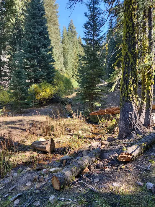 Cave Lake Campground 2