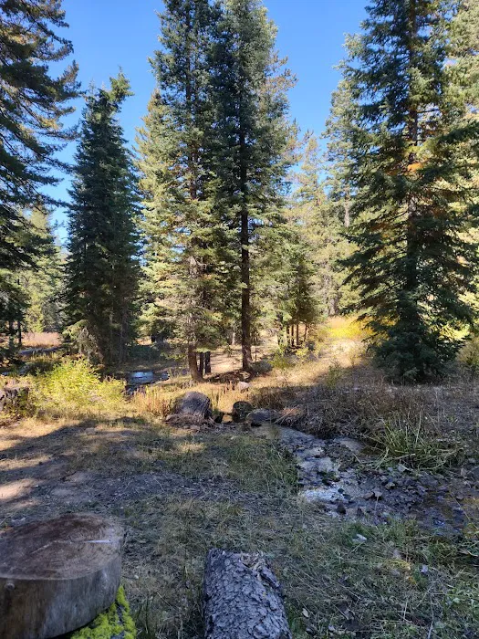Cave Lake Campground 5