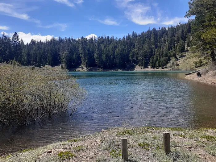 Cave Lake Campground 0