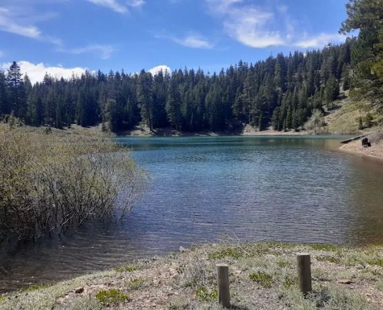 Cave Lake Campground
