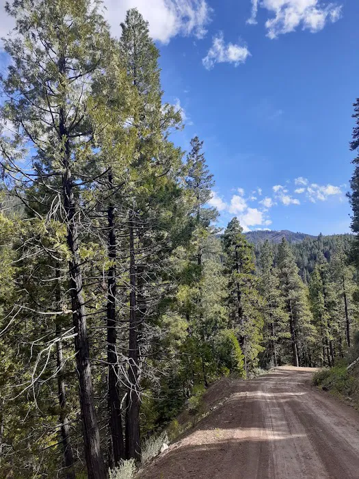 Cave Lake Campground 8