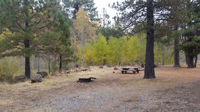 Deep Creek Forest Camp 0