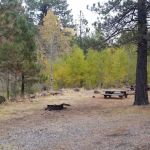 Deep Creek Forest Camp