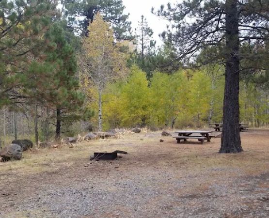 Deep Creek Forest Camp