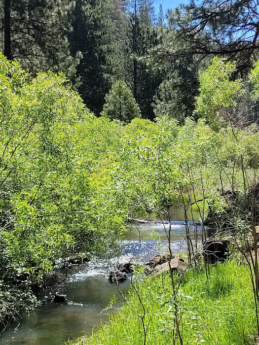 Lassen Creek Campground 5