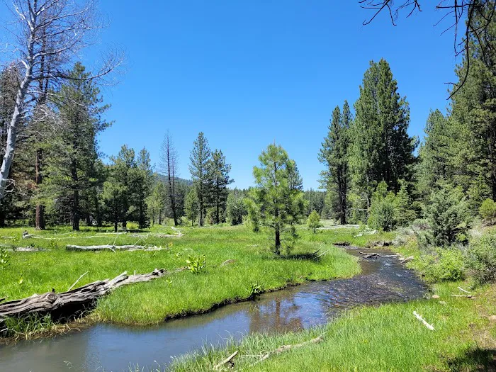 Lassen Creek Campground 1