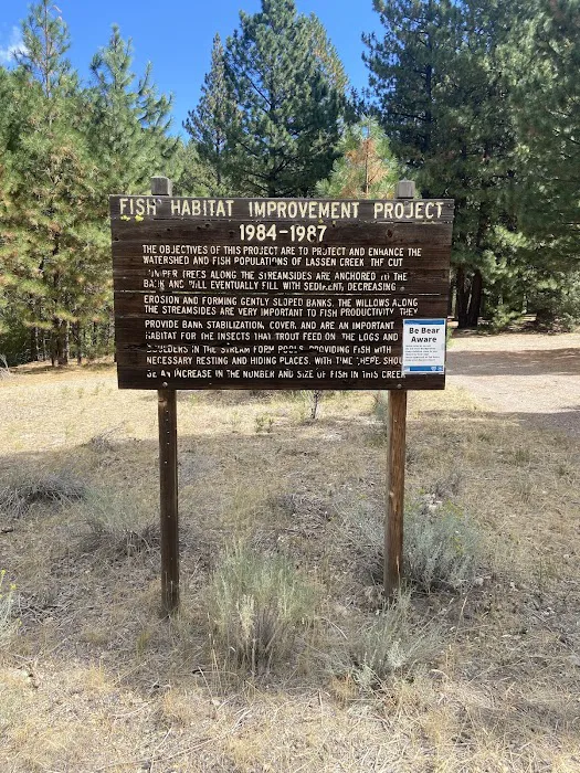 Lassen Creek Campground 2
